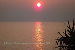 19 Sunrise Fishing D-bah