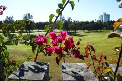 37 Royal Pines Golf Resort Hole 1 - Blue