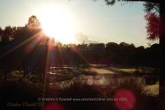 39 Royal Pines Golf Course Sunrise Sparkle