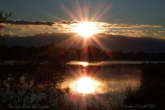 44 Clear Island Lake Solar Sunrise