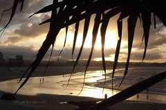 47 Coolangatta Beach Gold Sunset 2
