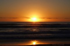 48 Nobby Beach Sunrise Surfing 1